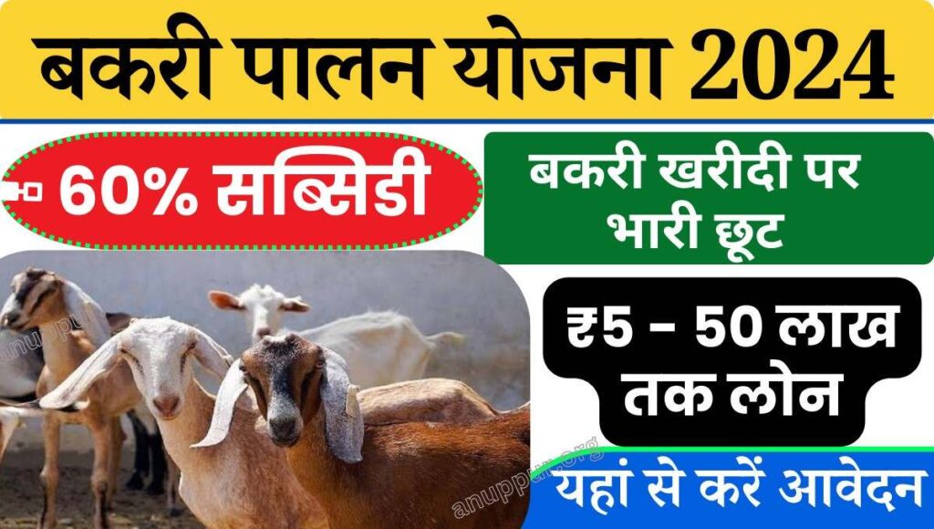 Bakri Palan Yojana Form Apply Rajasthan In Hindi 2024- देश में बहुत से ऐसे नागरिक हैं, जो अपना खुद का फार्म खोल कर पशुपालन करना चाहते हैं, जिसके लिए केंद्र एवं राज्य सरकार द्वारा बहुत सी लाभदायक योजनाएं भी संचालित की जा रहीं हैं। ऐसी ही एक कल्याणकारी योजना की शुरुआत राजस्थान राज्य सरकार द्वारा की गई,