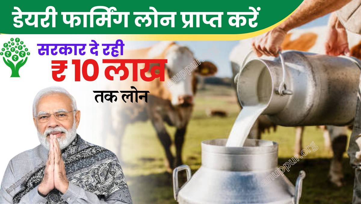 Dairy Farming Loan Yojana Form Apply In Hindi 2024: किसानों को अपनी आय की वृद्धि करने के लिए सरकार द्वारा नई-नई योजना चलाई रहीगई हैं।जिसके सहायता बेरोजगार युवा अपनी आय की वृद्धि कर सकेंगे। केंद्र सरकार द्वारा बेरोजगार युवाओं को डेयरी फार्मिंग खोलने के लिए योजना चलाई गई है