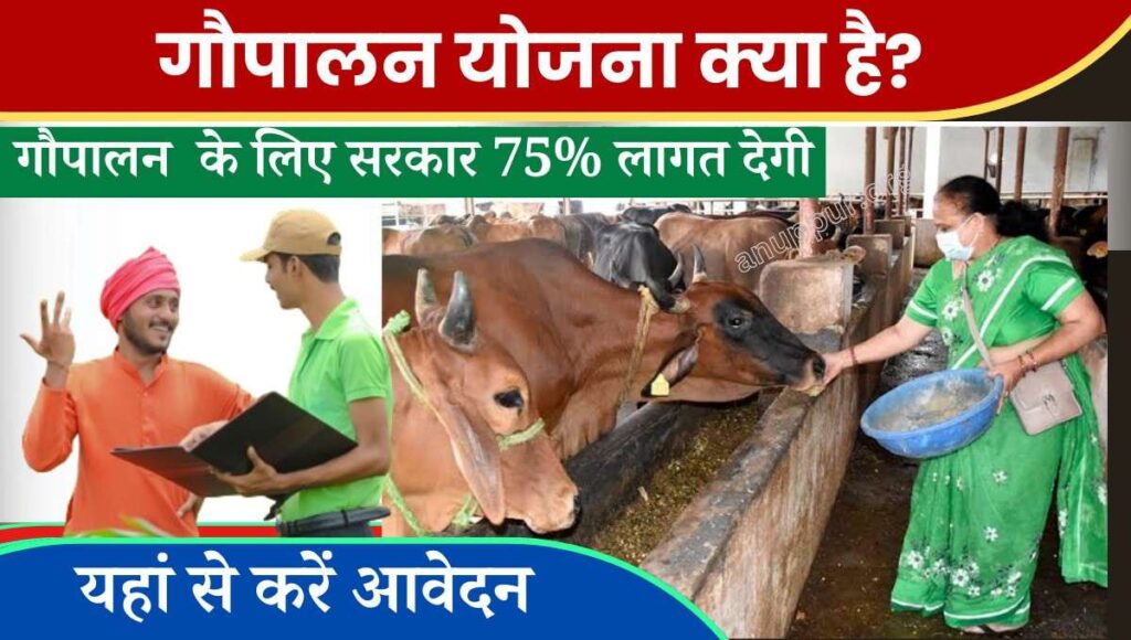 Gau Palan Yojana Full Details In Hindi 2024 सरकार द्वारा देश भर में नागरिकों के हित के लिए विभिन्न प्रकार की योजनाओं का संचालन किया जा रहा है, इसमें की कई सारे नागरिकों को योजना का लाभ दिया जा रहा है, ऐसे में ही एक बड़ा सवाल सामने आता है कि जो युवा और युवती बेरोजगार हैं